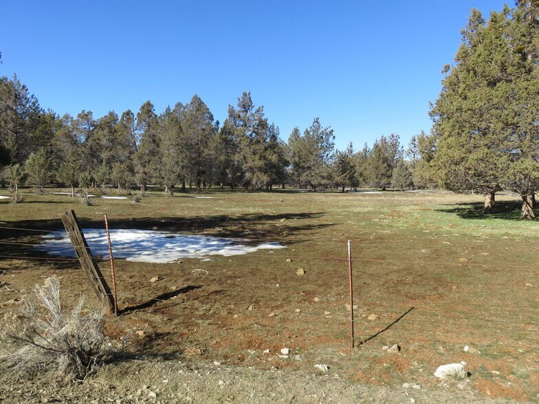 More Photos Of 295 Co Rd 149, Lookout Land For Sale
