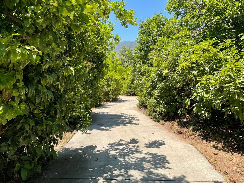 More Photos Of 44952 Vista del Mar, Temecula Winery Vineyard For Sale