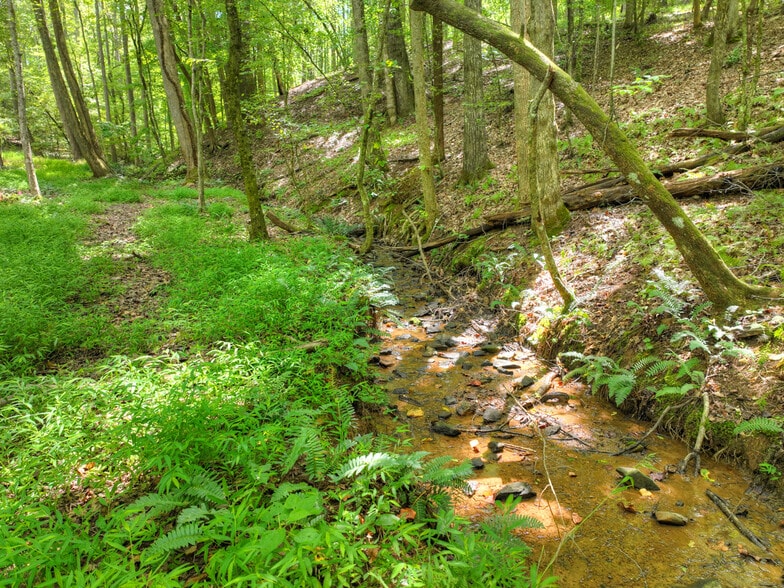 More Photos Of 77 Alpine Way, Blairsville Hotel For Sale