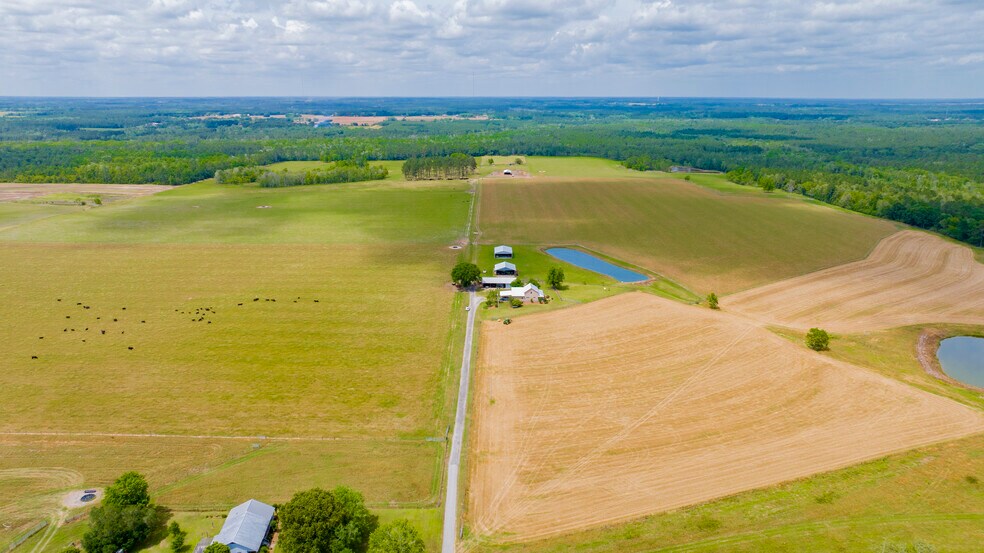 More Photos Of 24795 Hwy 32, Elberta Land For Sale