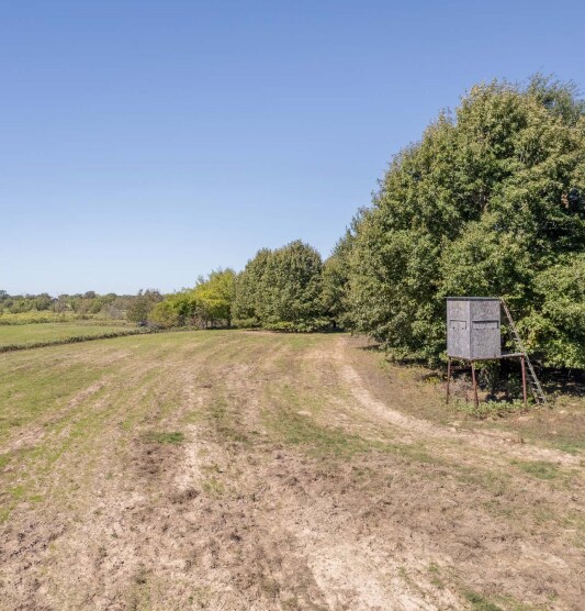 More Photos Of Parker Farm, Edgewood Land For Sale