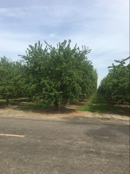More Photos Of 4032 W Inyo Ave, Tulare Land For Sale