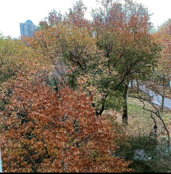 More Photos Of 31 Washington Sq W, New York Medical For Lease