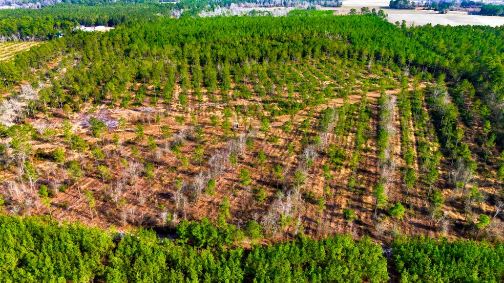 More Photos Of Highway 45, Loris Land For Sale