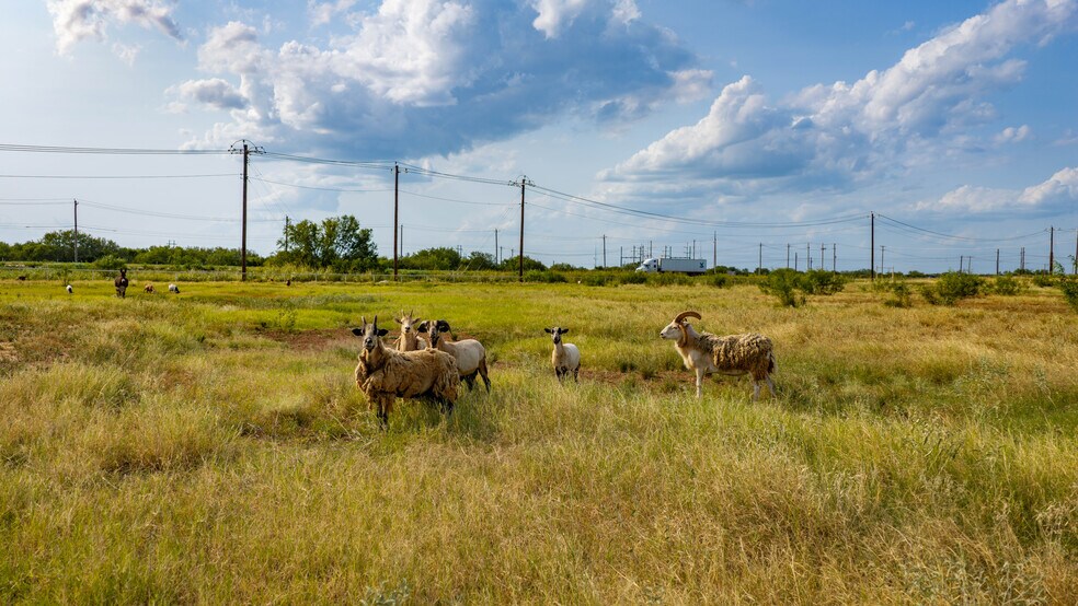 More Photos Of 175 County Road 1151, Pearsall Land For Sale