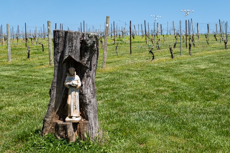 More Photos Of 318 Elkin Creek Mill Rd, Elkin Winery Vineyard For Sale