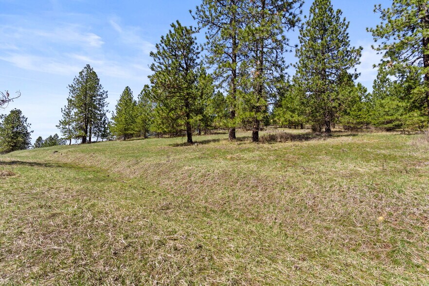 More Photos Of 15809 N Scribner Branch Rd, Spokane Land For Sale