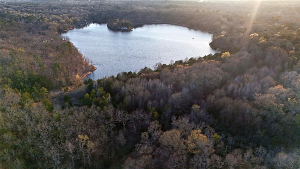 More Photos Of 23782 Holiday Pine dr, Mineola Land For Sale