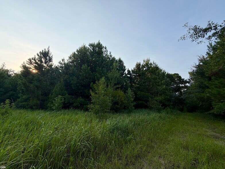 More Photos Of 0 Odom Lane, Chatom Land For Sale
