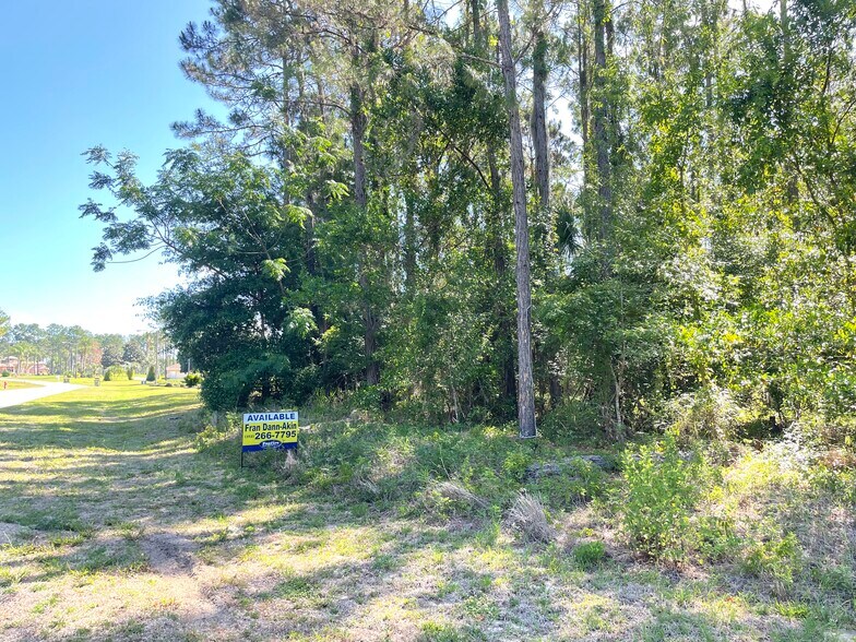 More Photos Of 31004 Secretariat Trl, Leesburg Land For Sale