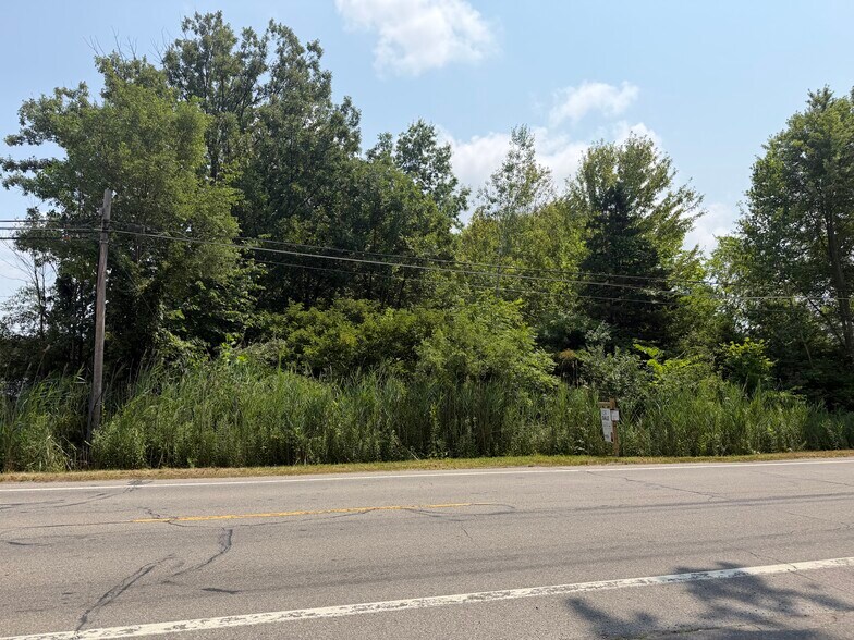 More Photos Of 0000 Huron River Dr, New Boston Land For Sale