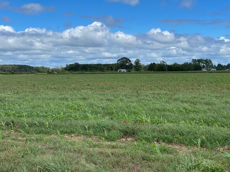 More Photos Of 5700 Pine Forest Rd, Walnut Hill Land For Sale