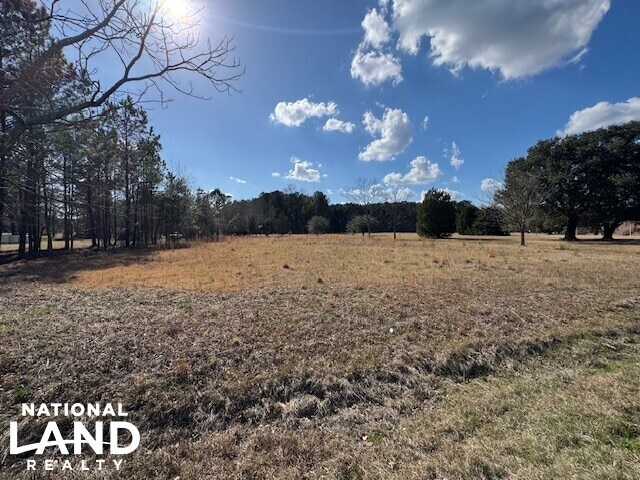 More Photos Of Hwy 421 S. Malpass Corner, Burgaw Land For Sale