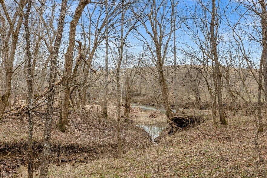 More Photos Of 2889 Tea Run Rd, Ewing Land For Sale