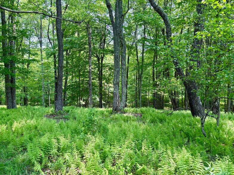 More Photos Of 263 Como Rd, Lake Como Specialty For Sale