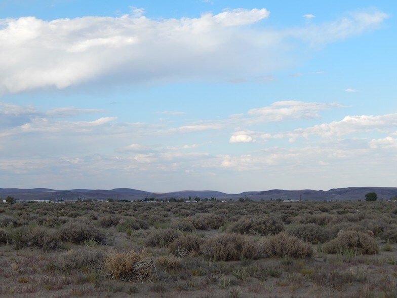 Primary Photo Of 4900 Highway 95A, Silver Springs Land For Sale