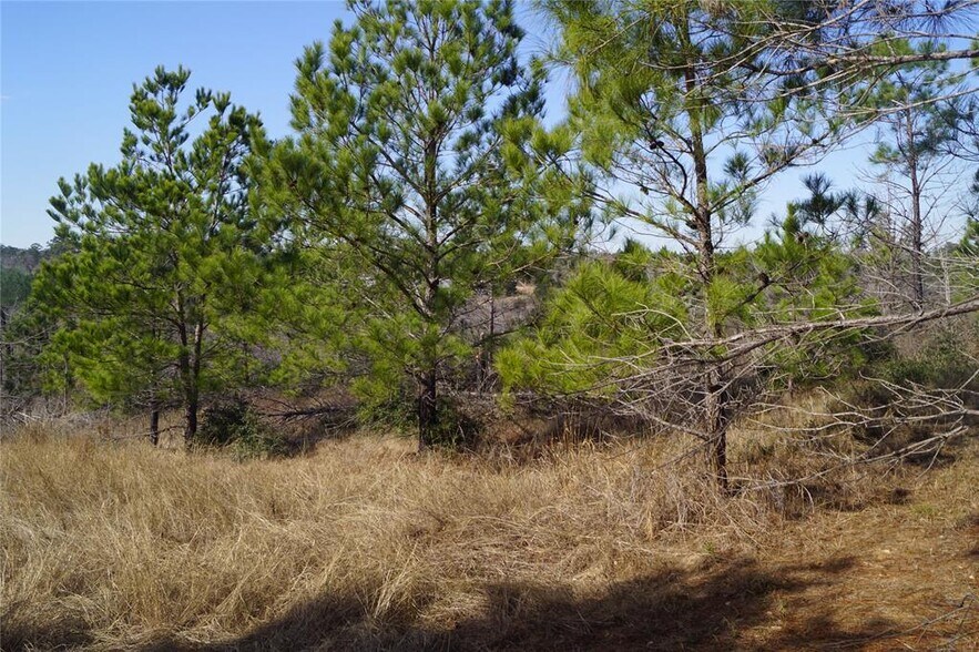 More Photos Of 488 Kelley Rd, Bastrop Land For Sale