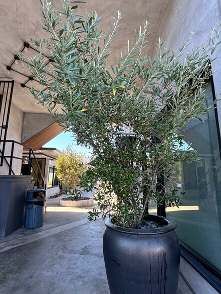 More Photos Of 3601-3609 1/2 W Magnolia Blvd, Burbank Storefront Retail Office For Lease