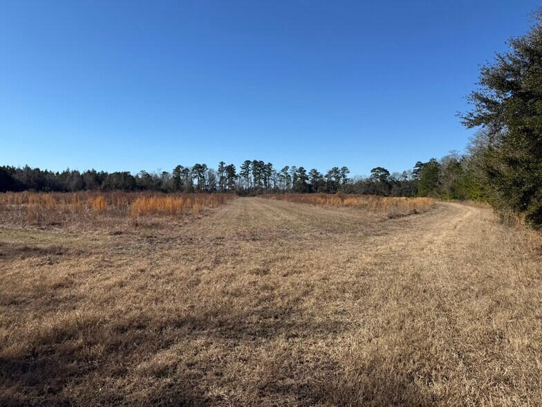 More Photos Of 0 Sniders Hwy, Walterboro Land For Sale