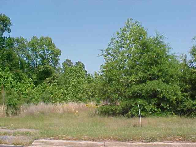 More Photos Of 4870 Charlotte Highway, Lancaster Land For Sale