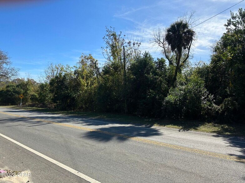 More Photos Of 000 Highway 231, Campbellton Land For Sale