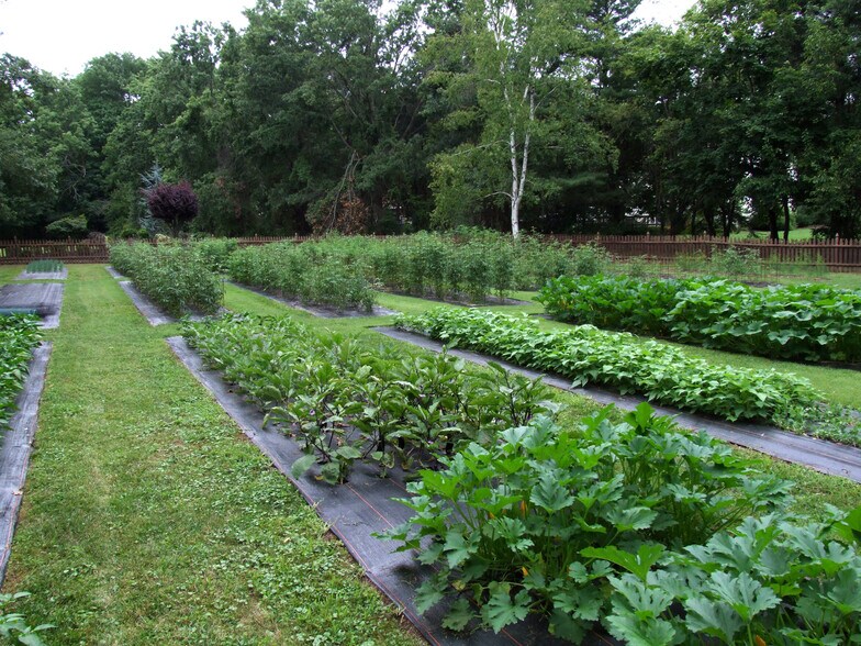 More Photos Of 1039 Old York Rd, East Amwell Township Restaurant For Sale