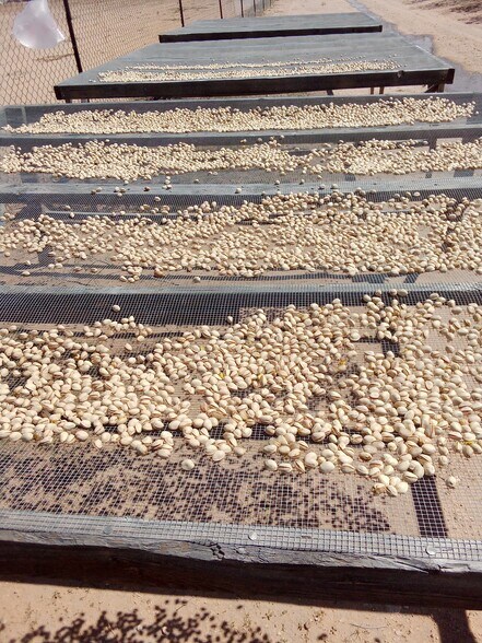 More Photos Of 7074 Kevil Rd, Carlsbad Land For Sale