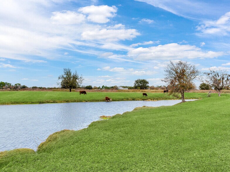 More Photos Of 15721 Colding Loop, Wimauma Land For Sale