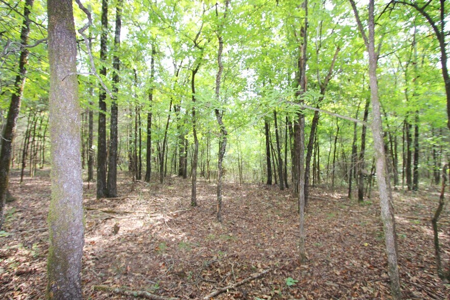 More Photos Of 226 Blythe rd, Greenbrier Land For Sale