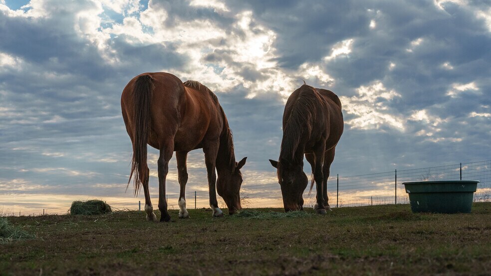 More Photos Of 11 acs Pop Noah Rd, Collinsville Land For Sale