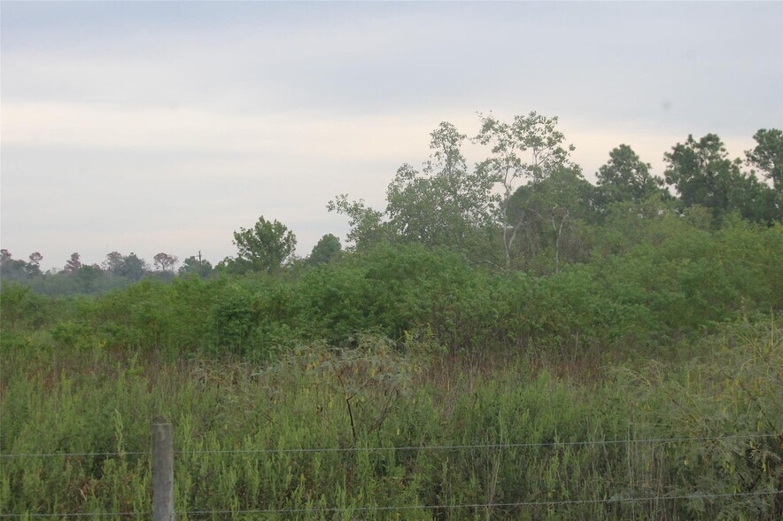 More Photos Of Hwy 99, Baytown Land For Sale