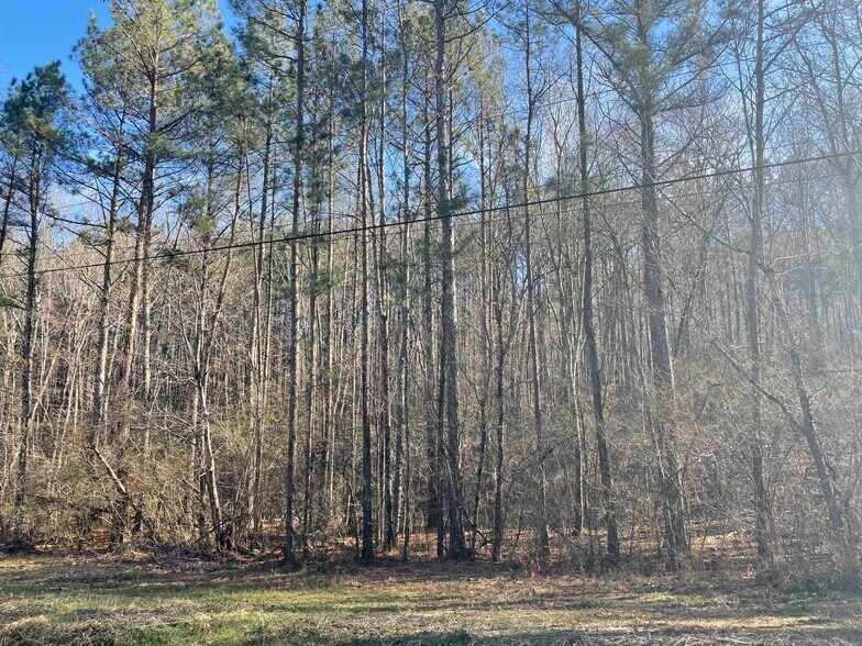 More Photos Of Rockfence Rd, Adairsville Land For Sale