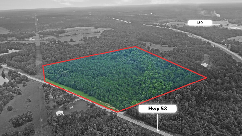 More Photos Of 0 Highway 53, Poplarville Land For Sale