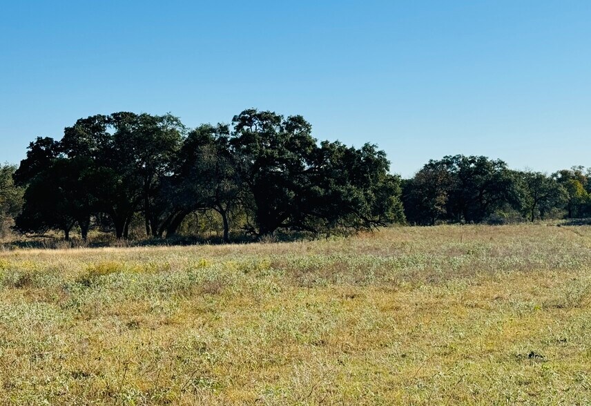 More Photos Of 10382 W FM 476, Poteet Land For Sale