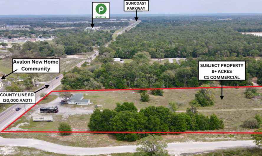 Primary Photo Of 18824 County Line Rd, Spring Hill Land For Sale