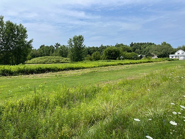 More Photos Of 1023 Ethan Allen Hwy, Fairfax Land For Sale