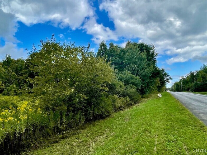 Primary Photo Of Maiden Lane Rd, Oswego Land For Sale