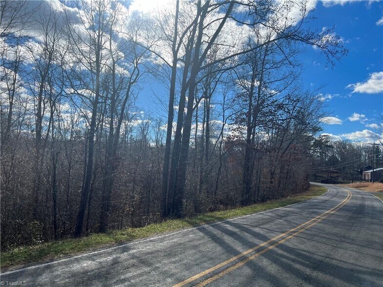 Primary Photo Of 0 N Main St, Dobson Land For Sale