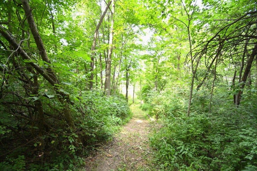 More Photos Of 250 Main st, Mount Gilead Land For Sale