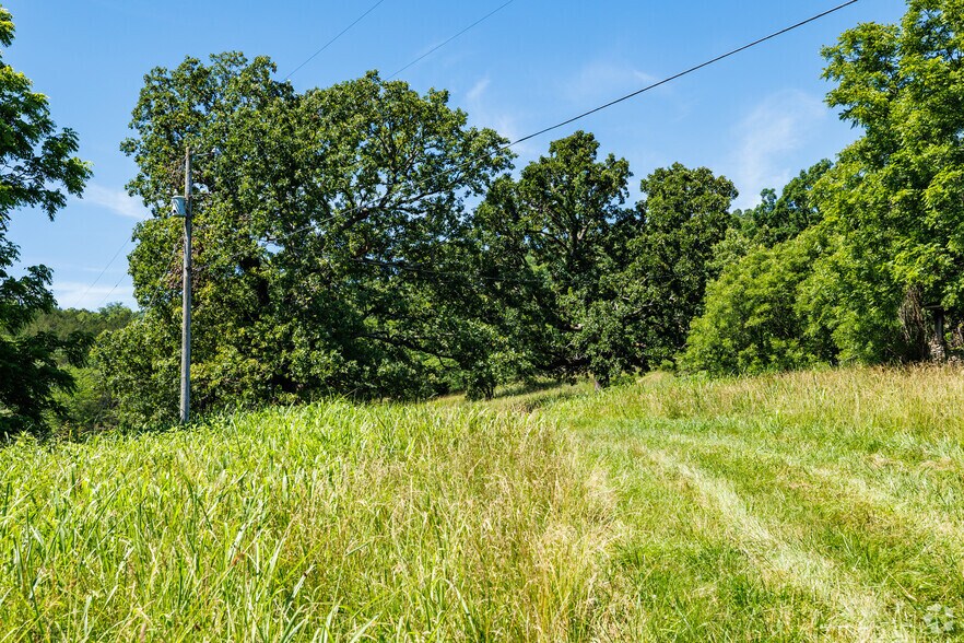 More Photos Of Carnation Ln @ Hwy 76, Cape Fair Land For Sale