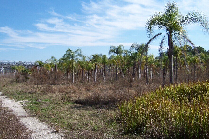 More Photos Of 1620 Tobias St, Naples Land For Lease