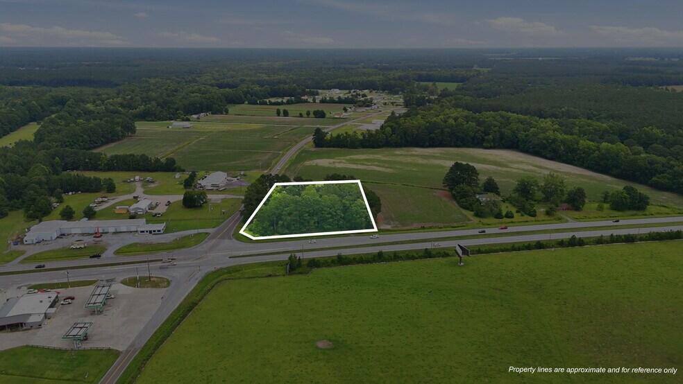 More Photos Of 5238 US Highway 264 W, Washington Land For Sale