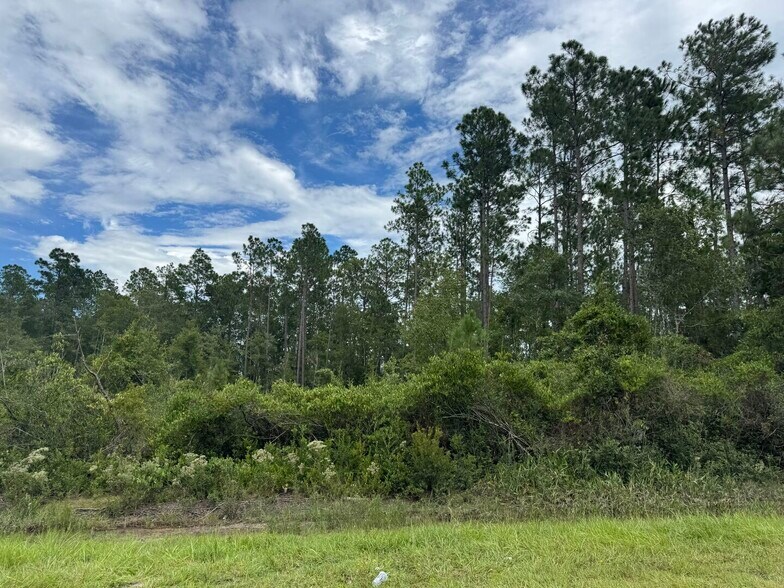 More Photos Of Noah Raulerson Road, Sanderson Land For Sale
