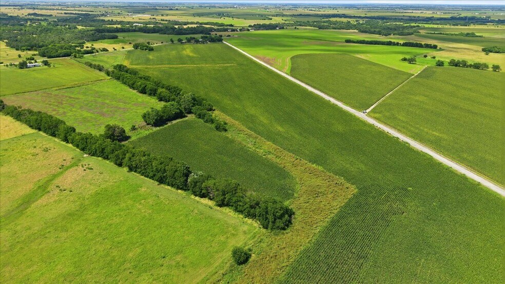 More Photos Of County Road 319, Granger Land For Sale