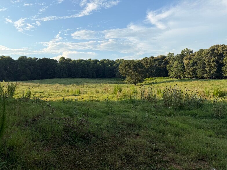 More Photos Of 3481 Highway 59, Commerce Land For Sale