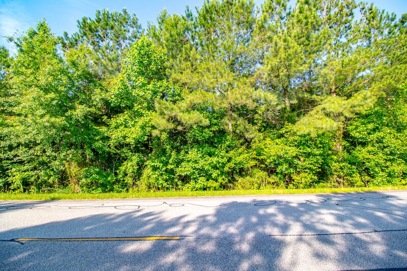 More Photos Of NC Hwy 94, Creswell Land For Sale