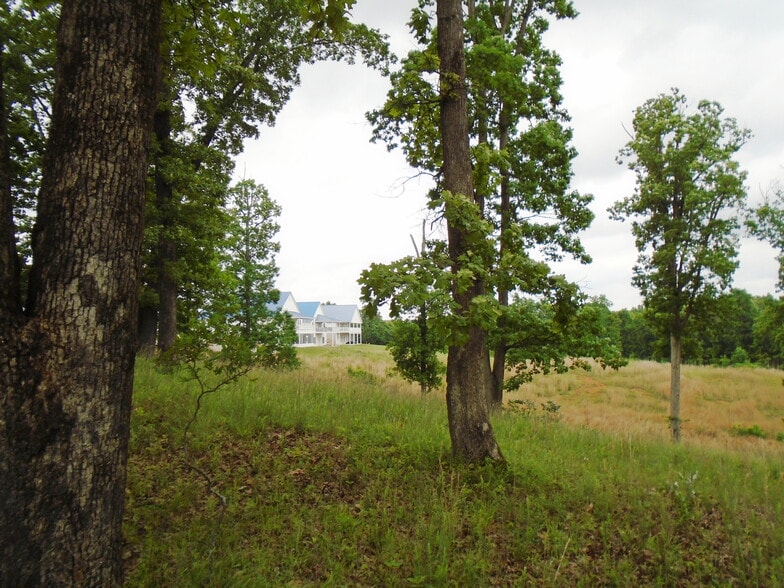 More Photos Of 000 Lighthouse Cay, Grand Rivers Land For Sale