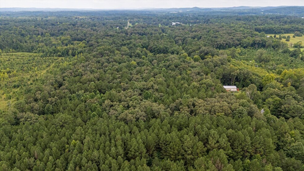 More Photos Of 0 Poindexter SE Dr, Cleveland Land For Sale