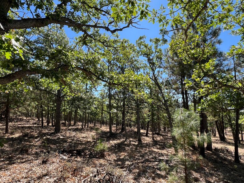 More Photos Of 407 Blue Spruce, Goldendale Land For Sale