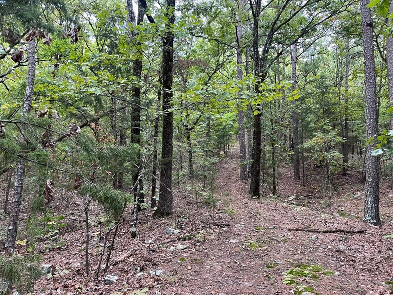 More Photos Of 27546 Reservation Rd, Daisy Land For Sale
